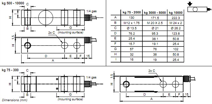 FTP-300kg